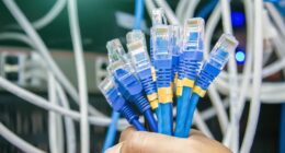 types of ethernet cat cables