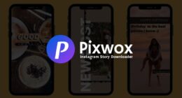 Pixwox Anonymous Instagram story downloader